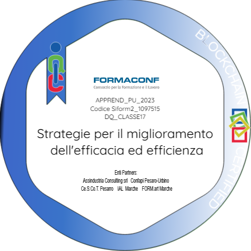 SEZ2_5.6_Strategie per il miglioramento dell'efficacia ed efficienza DQ17